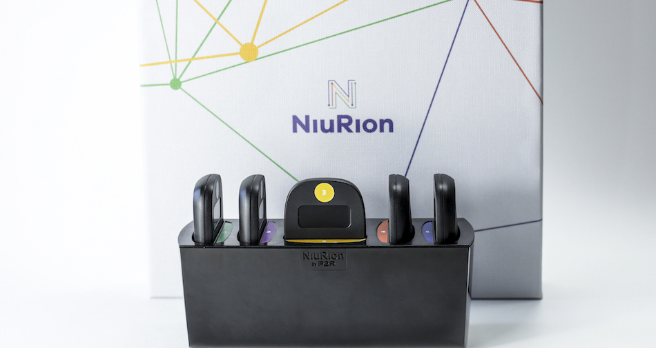 NiuRion: un hardware che parla italiano con Biocubica